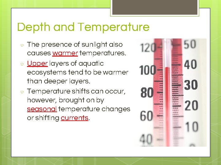 Depth and Temperature ○ ○ ○ The presence of sunlight also causes warmer temperatures.