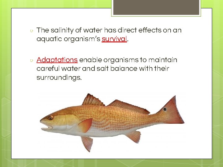 ○ The salinity of water has direct effects on an aquatic organism’s survival. ○