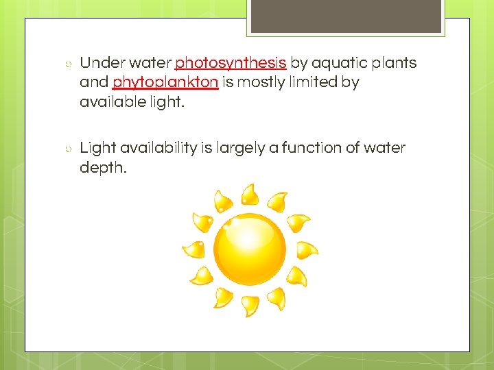 ○ Under water photosynthesis by aquatic plants and phytoplankton is mostly limited by available