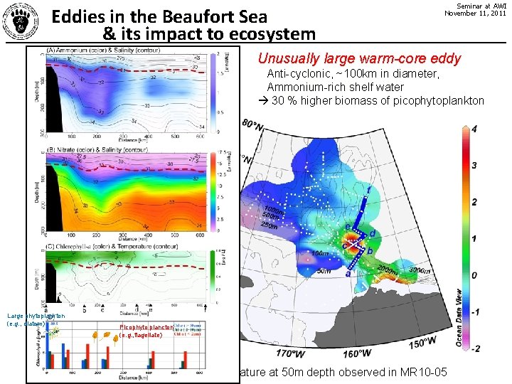 Eddies in the Beaufort Sea & its impact to ecosystem Seminar at AWI November