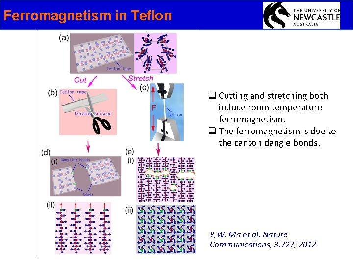 Ferromagnetism in Teflon q Cutting and stretching both induce room temperature ferromagnetism. q The