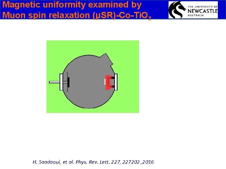 Magnetic uniformity examined by Muon spin relaxation (μSR)-Co-Ti. O 2 H. Saadaoui, et al.