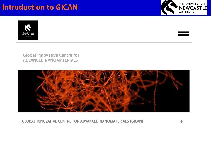 Introduction to GICAN 