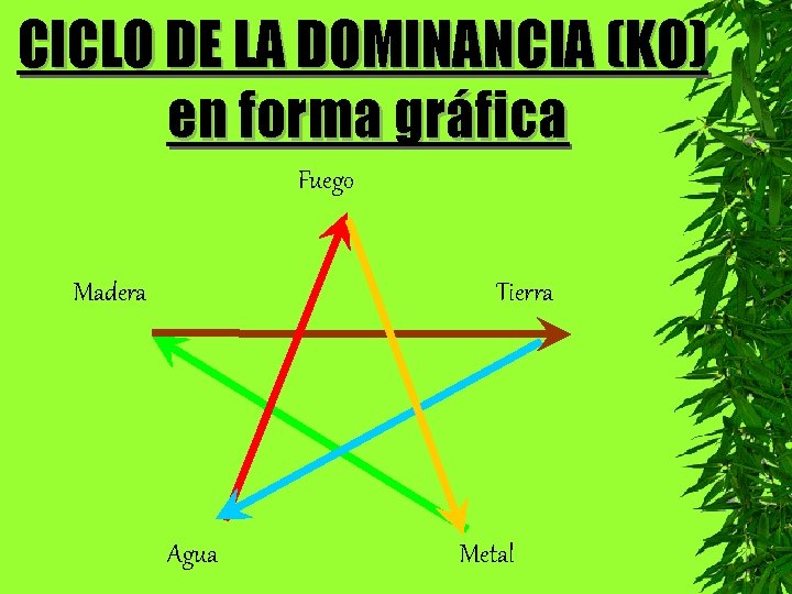 CICLO DE LA DOMINANCIA (KO) en forma gráfica Fuego Madera Tierra Agua Metal 