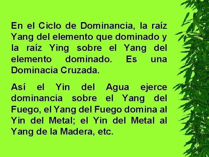 En el Ciclo de Dominancia, la raíz Yang del elemento que dominado y la