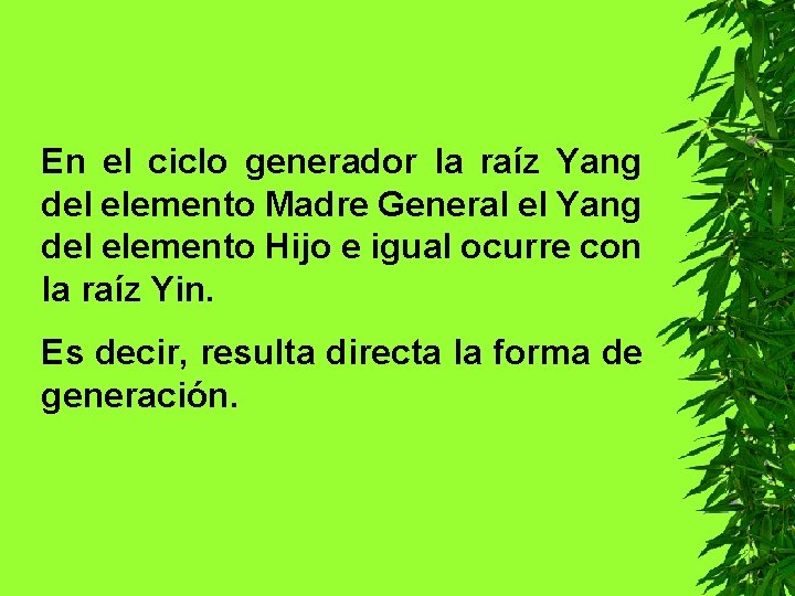 En el ciclo generador la raíz Yang del elemento Madre General el Yang del