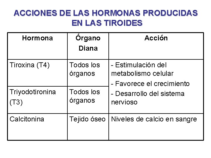 ACCIONES DE LAS HORMONAS PRODUCIDAS EN LAS TIROIDES Hormona Órgano Diana Acción Tiroxina (T