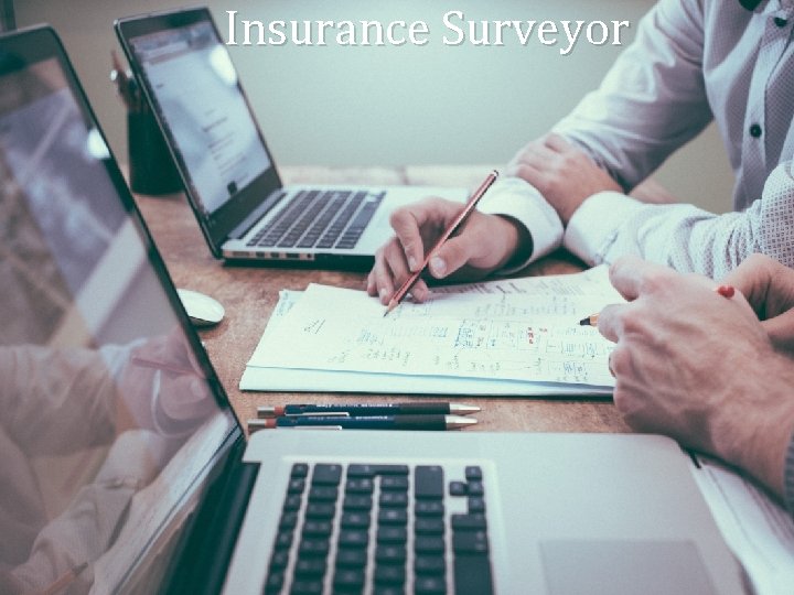 Insurance Surveyor 