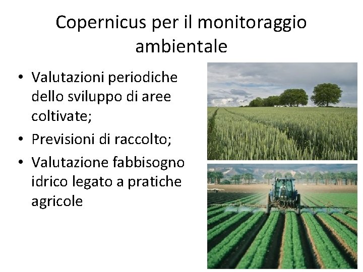 Copernicus per il monitoraggio ambientale • Valutazioni periodiche dello sviluppo di aree coltivate; •