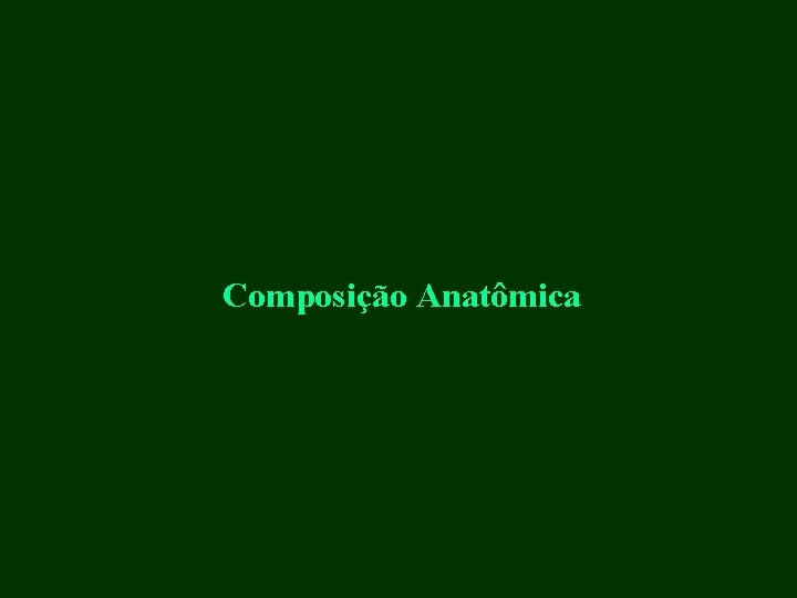 Composição Anatômica 