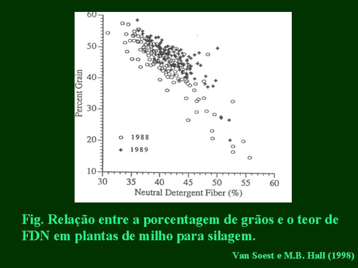 Fig. Relação entre a porcentagem de grãos e o teor de FDN em plantas