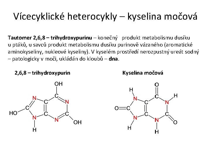 Vícecyklické heterocykly – kyselina močová Tautomer 2, 6, 8 – trihydroxypurinu – konečný produkt