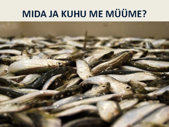 MIDA JA KUHU ME MÜÜME? 