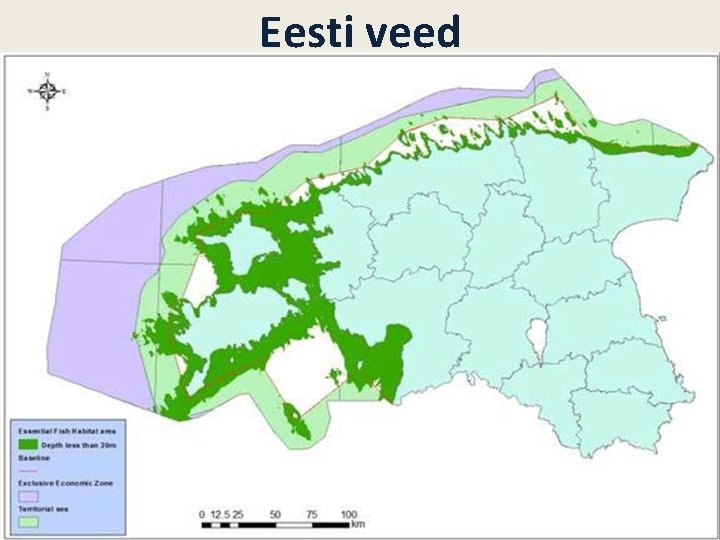 Eesti veed 