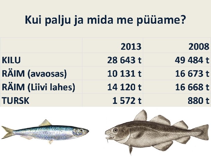 Kui palju ja mida me püüame? 