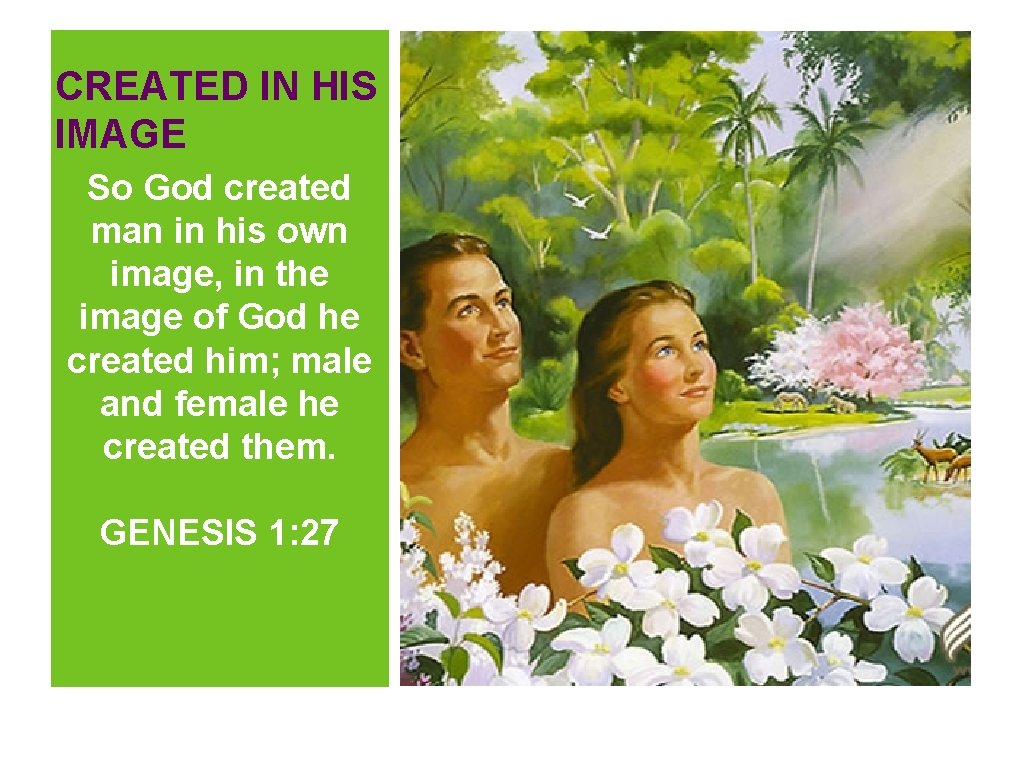 CREATED IN HIS IMAGE So God created man in his own image, in the