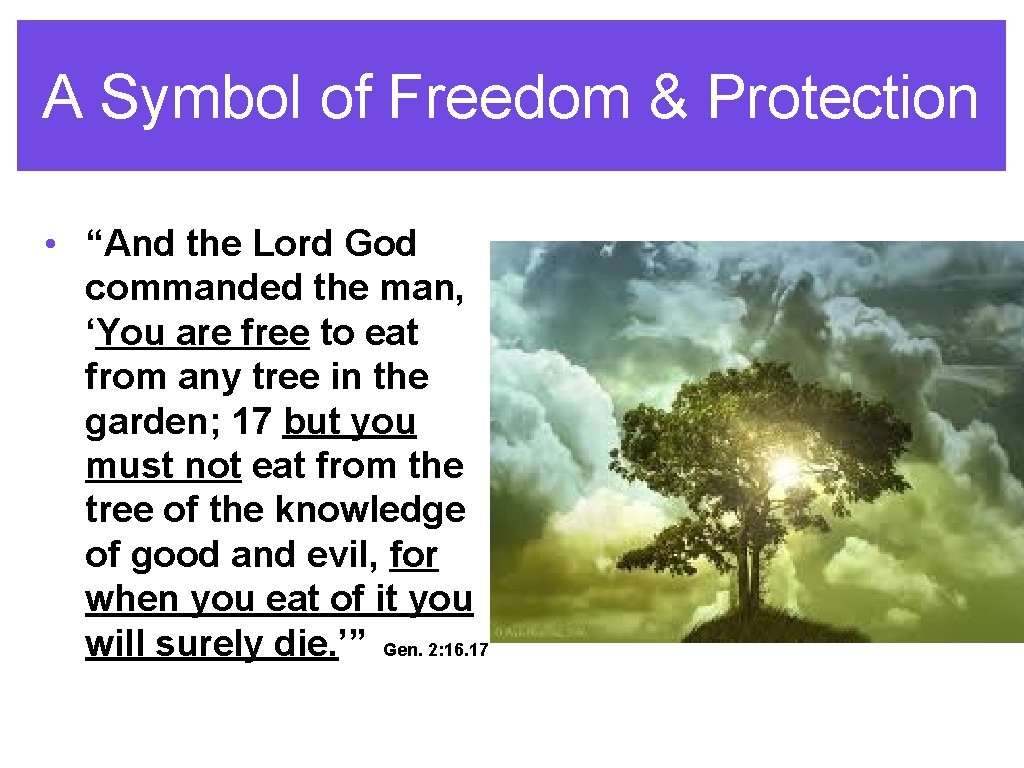 A Symbol of Freedom & Protection • “And the Lord God commanded the man,