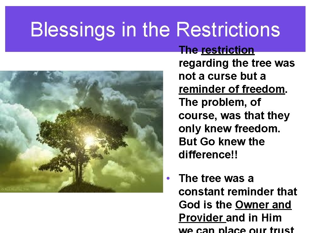 Blessings in the Restrictions • The restriction regarding the tree was not a curse