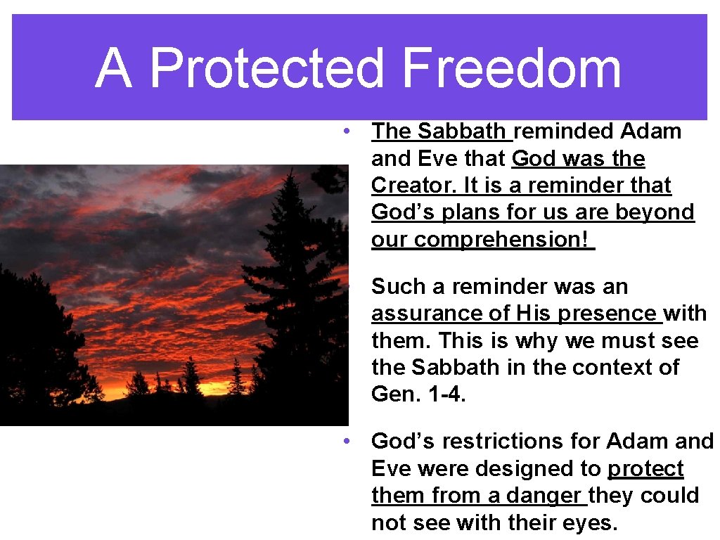 A Protected Freedom • The Sabbath reminded Adam and Eve that God was the