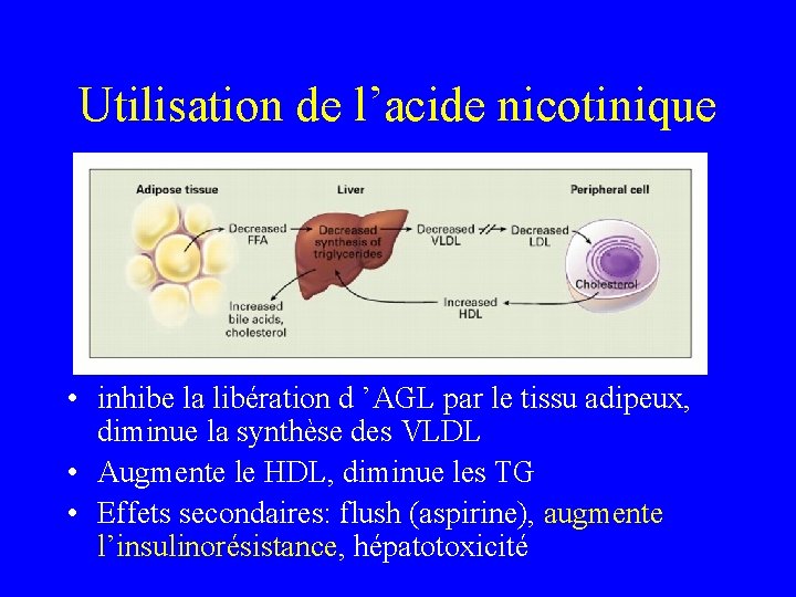 Utilisation de l’acide nicotinique • inhibe la libération d ’AGL par le tissu adipeux,