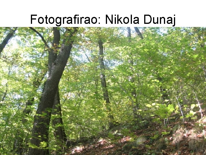 Fotografirao: Nikola Dunaj 