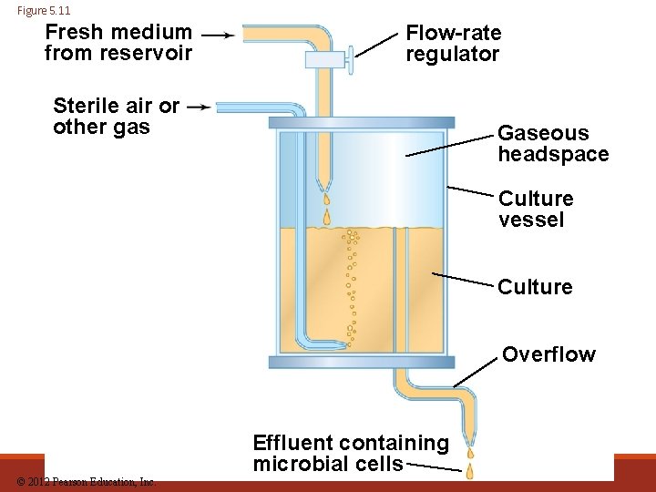 Figure 5. 11 Fresh medium from reservoir Flow-rate regulator Sterile air or other gas