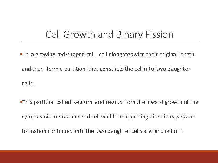 Cell Growth and Binary Fission § In a growing rod-shaped cell, cell elongate twice