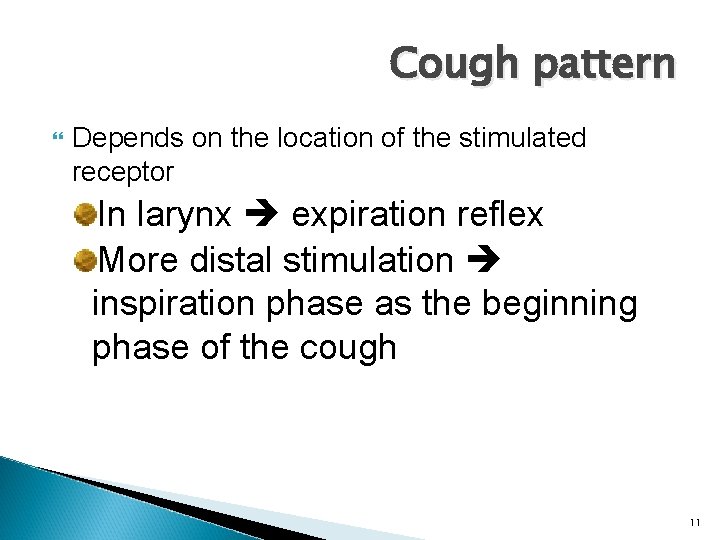 Cough pattern Depends on the location of the stimulated receptor In larynx expiration reflex