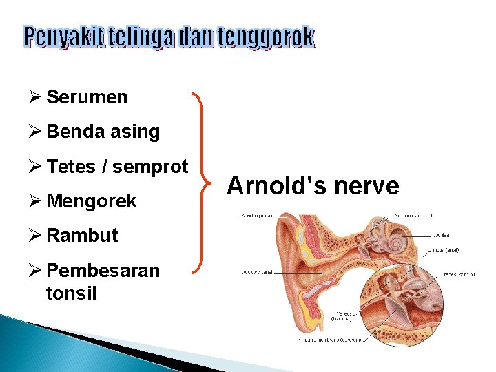 Ø Serumen Ø Benda asing Ø Tetes / semprot Ø Mengorek Ø Rambut Ø