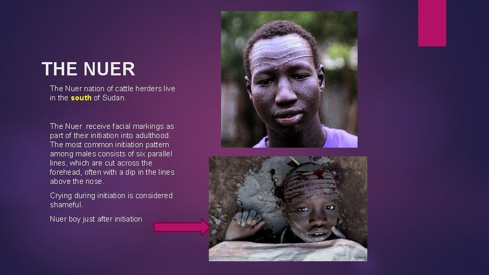 THE NUER The Nuer nation of cattle herders live in the south of Sudan. THE NUER The Nuer nation of cattle herders live in the south of Sudan.