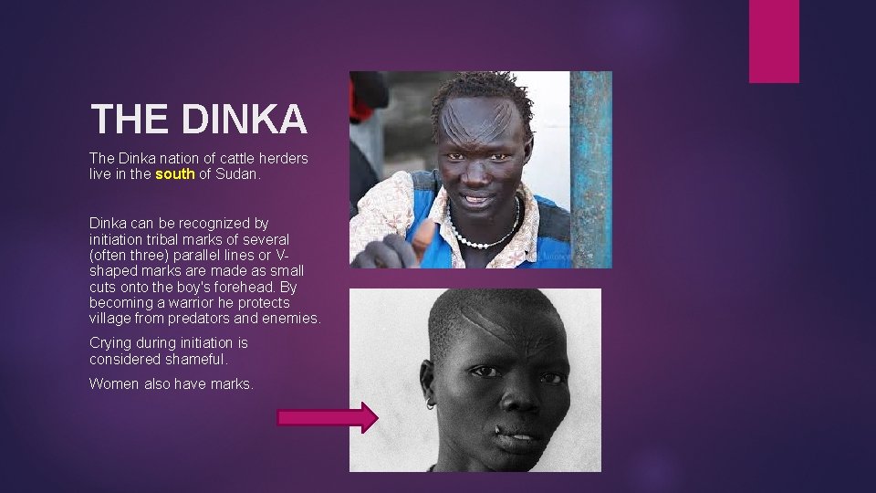 THE DINKA The Dinka nation of cattle herders live in the south of Sudan.