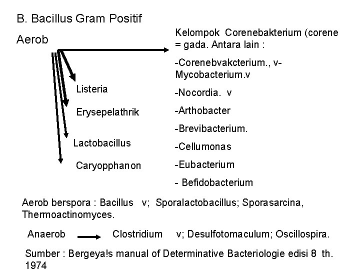 B. Bacillus Gram Positif Kelompok Corenebakterium (corene = gada. Antara lain : Aerob -Corenebvakcterium.