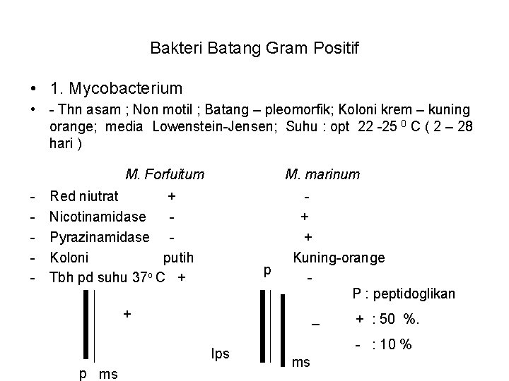 Bakteri Batang Gram Positif • 1. Mycobacterium • - Thn asam ; Non motil