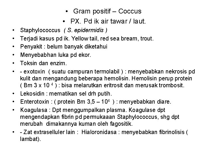  • Gram positif – Coccus • PX. Pd ik air tawar / laut.