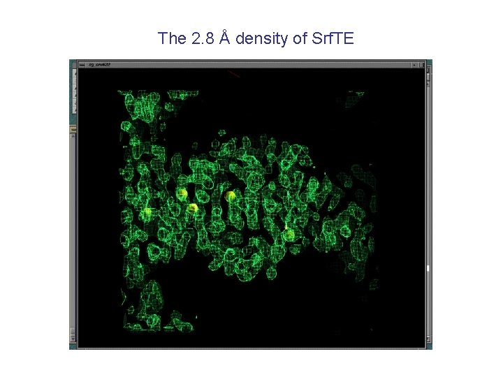 The 2. 8 Å density of Srf. TE 