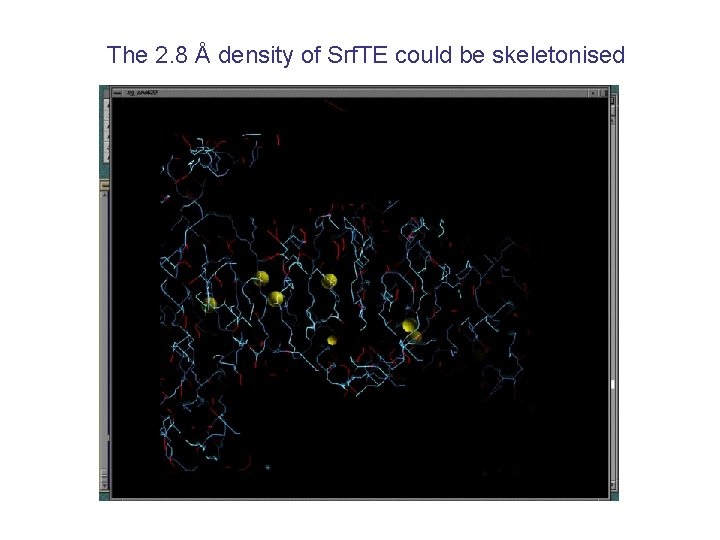 The 2. 8 Å density of Srf. TE could be skeletonised 