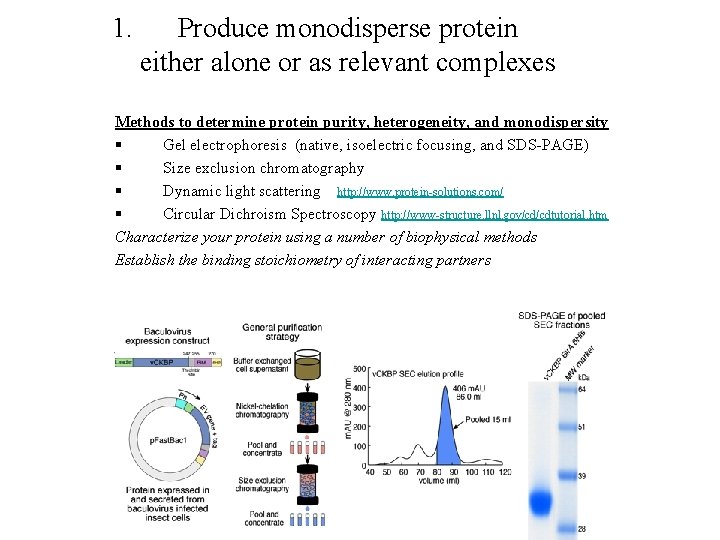 1. Produce monodisperse protein either alone or as relevant complexes Methods to determine protein