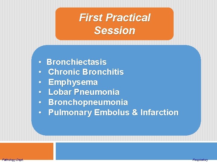 First Practical Session • • • Pathology Dept. Bronchiectasis Chronic Bronchitis Emphysema Lobar Pneumonia