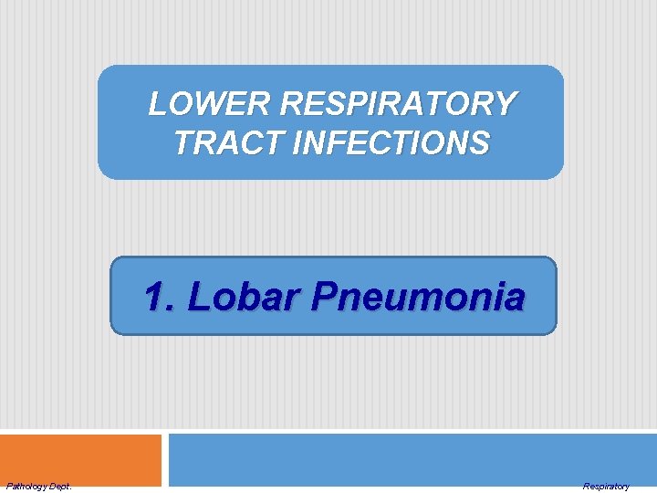 LOWER RESPIRATORY TRACT INFECTIONS 1. Lobar Pneumonia Pathology Dept. Respiratory 