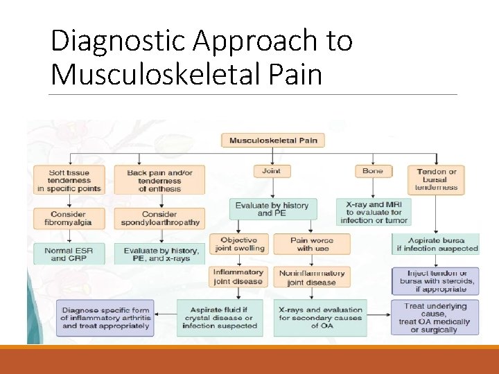 Diagnostic Approach to Musculoskeletal Pain 