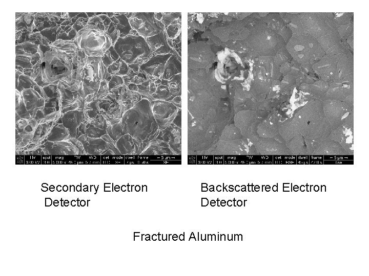 Secondary Electron Detector Backscattered Electron Detector Fractured Aluminum 