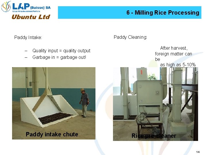 6 - Milling Rice Processing Paddy Intake: – – Quality input = quality output
