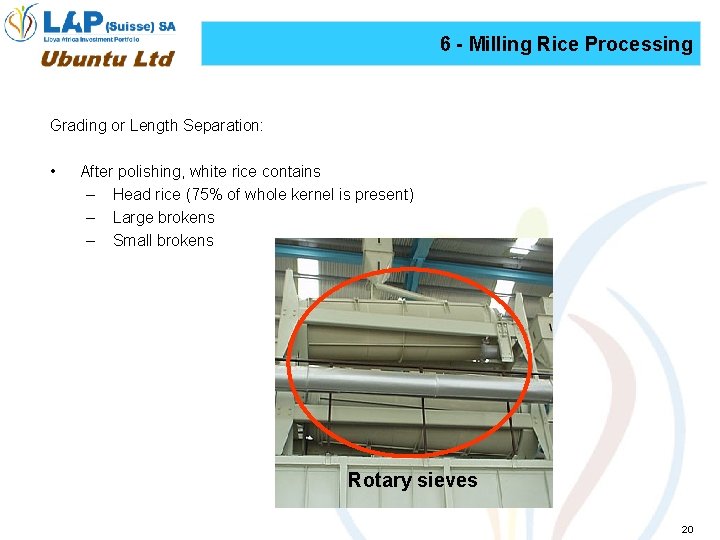 6 - Milling Rice Processing Grading or Length Separation: • After polishing, white rice