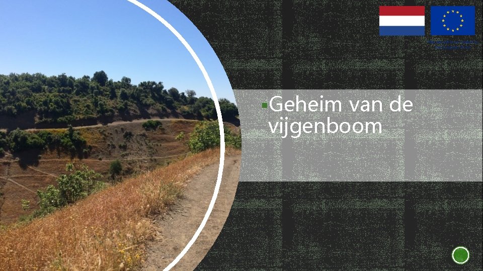 §Geheim van de vijgenboom 