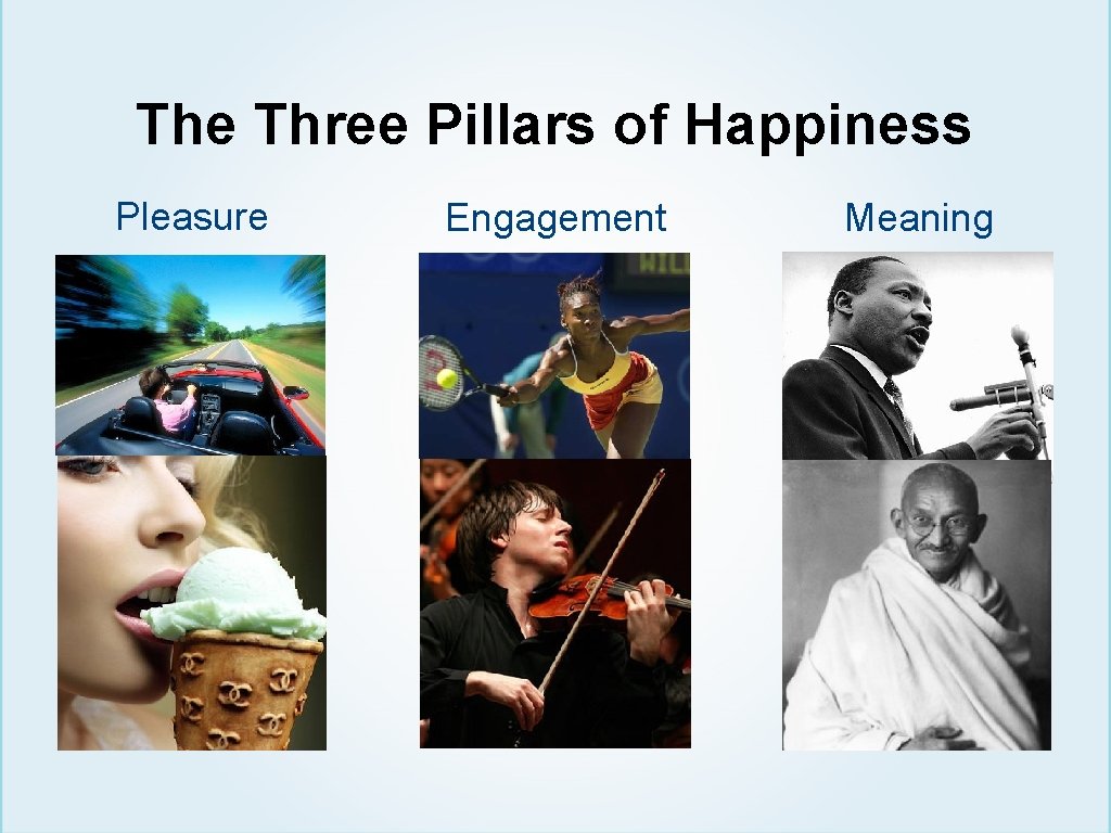The Three Pillars of Happiness Pleasure Engagement Meaning 