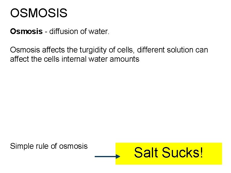 OSMOSIS Osmosis - diffusion of water. Osmosis affects the turgidity of cells, different solution