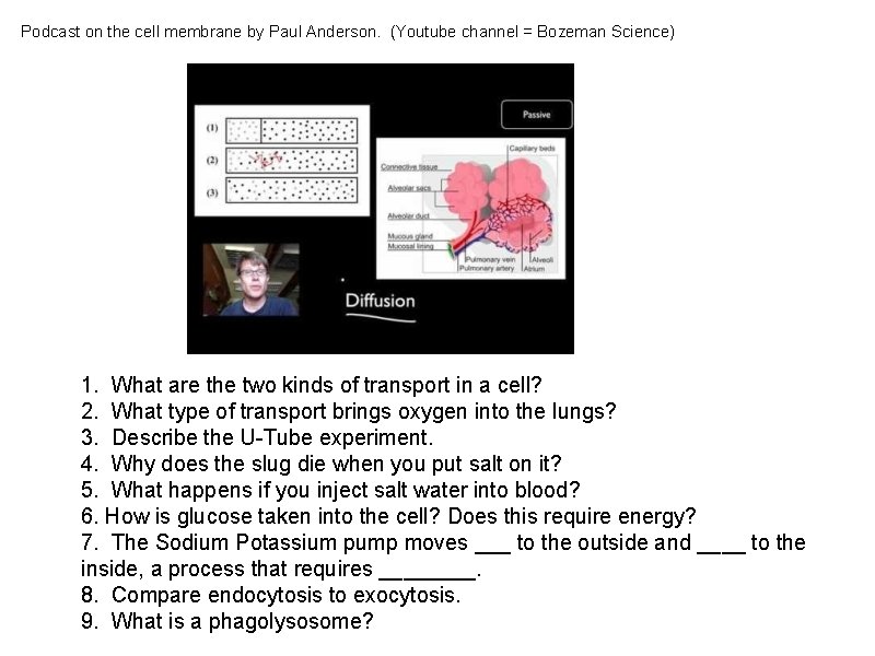 Podcast on the cell membrane by Paul Anderson. (Youtube channel = Bozeman Science) 1.