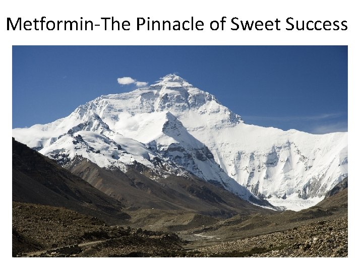 Metformin-The Pinnacle of Sweet Success 