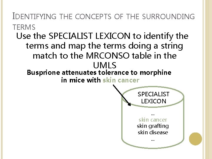 IDENTIFYING THE CONCEPTS OF THE SURROUNDING TERMS Use the SPECIALIST LEXICON to identify the