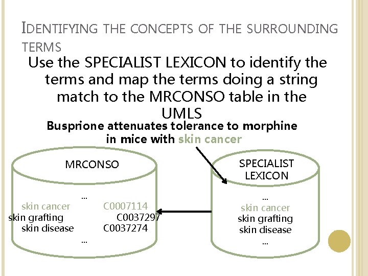 IDENTIFYING THE CONCEPTS OF THE SURROUNDING TERMS Use the SPECIALIST LEXICON to identify the